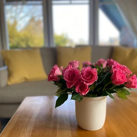 Appartement Ferienwohnanlage Nowo Nowo Whg 02 Born